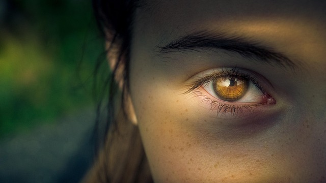 Een compleet beeld van optometrisch onderzoek en oogzorg